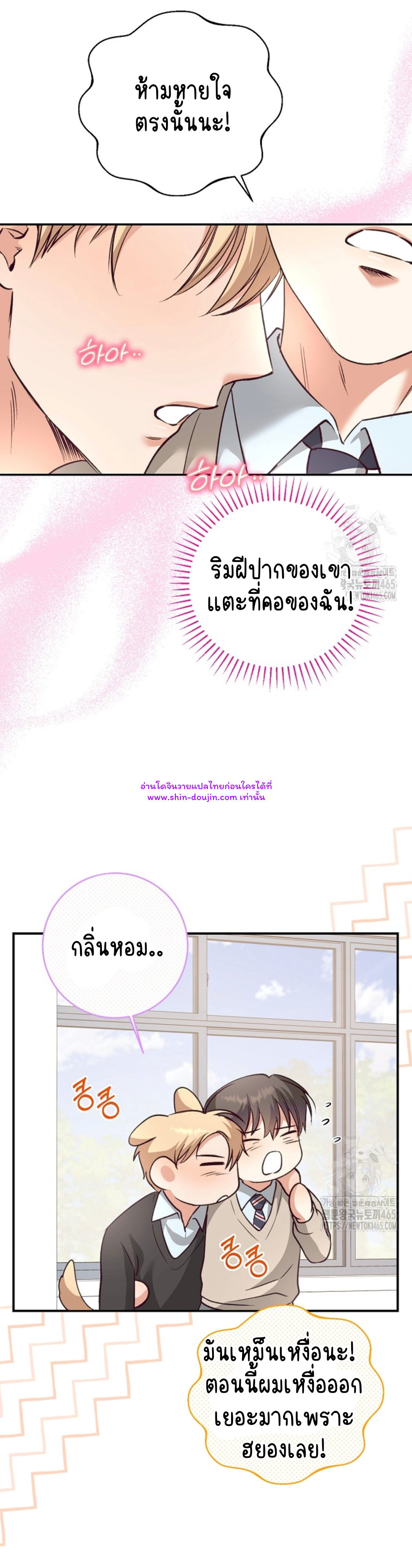 Dandelion Flower Observation Diary EP 13